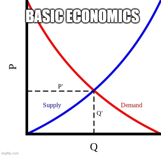 basic economics.webp