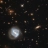 lsitongia