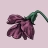 violet :heart_bi: