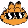 ????:garfield: