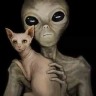 Roswell's Revenge