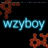 wzyboy