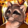 Tilton Raccoon