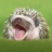 Internet Hedgehog