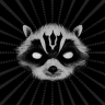 Raccoon Fink