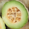 Melon