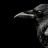 nevermore