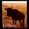 Le Gnou