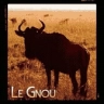 Le Gnou ( ⁔‿⁔∫ˋ )