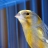 FSE Warrant Canary