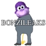 bonzileaks