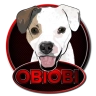 obi0bi