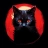 gato_garden🏴🏴‍☠️:blackcat: