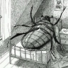 gregor samsa