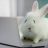 Tired Bunny :bunhdheart:
