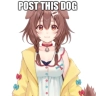 Post this dog