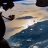 Corse_Pia