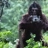 Really Bigfoot