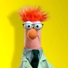 D Ingram