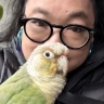 SeaFury 🦜🍃