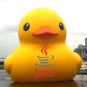 Java Duck