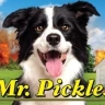 Mr. Pickles