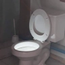 ToiletPoster
