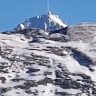 Maisheu