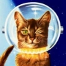 Space Catitude 🚀