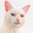 trix :oh_vixe: