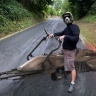 Gravelotaf