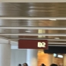 D2