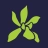 Encyclia