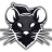 blackRAT 🏴 🐀