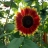 Donna R :jawn2: