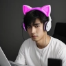 JeetboiKoder