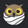 Owls in Towels