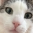 WhiskerArranger