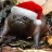 Shiplap