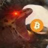 BitcoinLizard