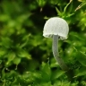 🌈☔🌦️🍄🌱🍉