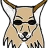 Coyoty-Noir
