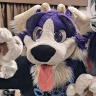 Skritch Monster Collie