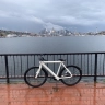 Cars in Bike Lanes Seattle