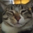 Trickpaw