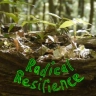 Radical Resilience Film