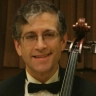 Michael P Stein